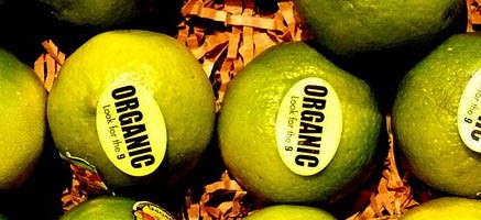organic_lime