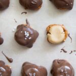 Chocolate Covered Peanut Butter Pretzel Bites
