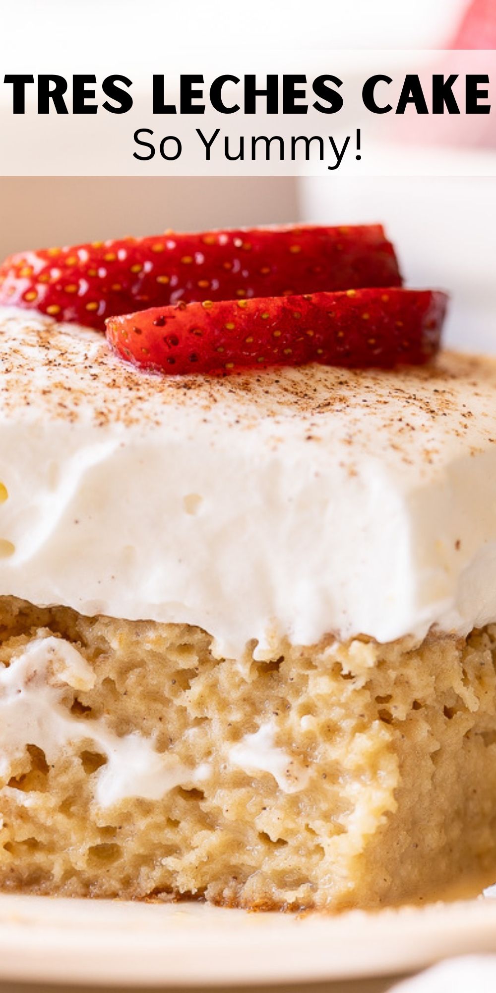 Tres Leches Cake Recipe I Wash You Dry