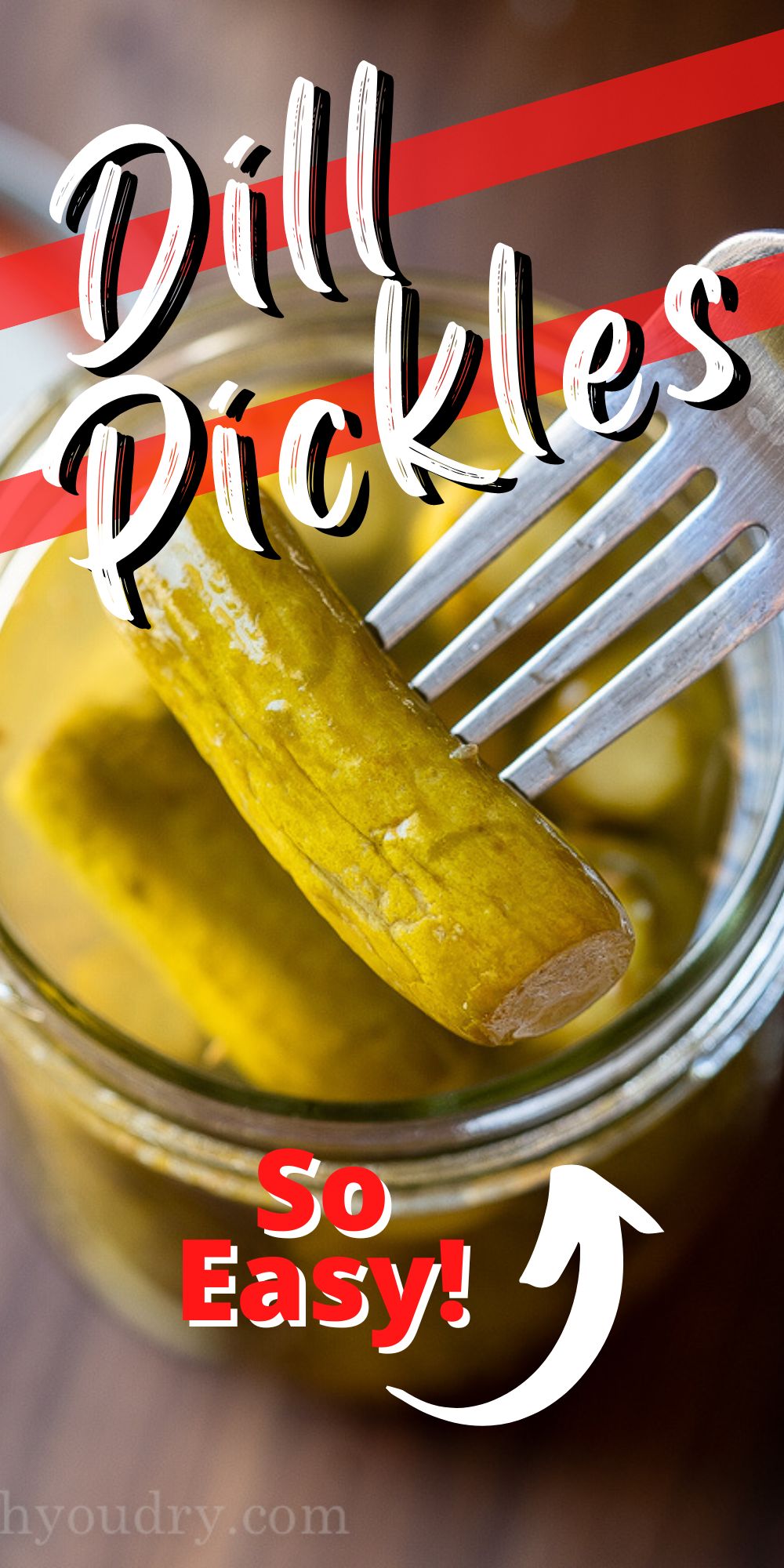 Homemade Canned Dill Pickles I Wash You Dry