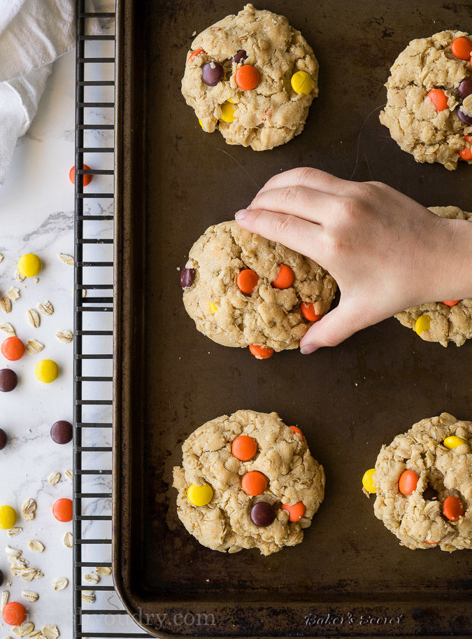 Oh my gosh!! These Reeses Peanut Butter Oatmeal Cookies are ridiculously good! 