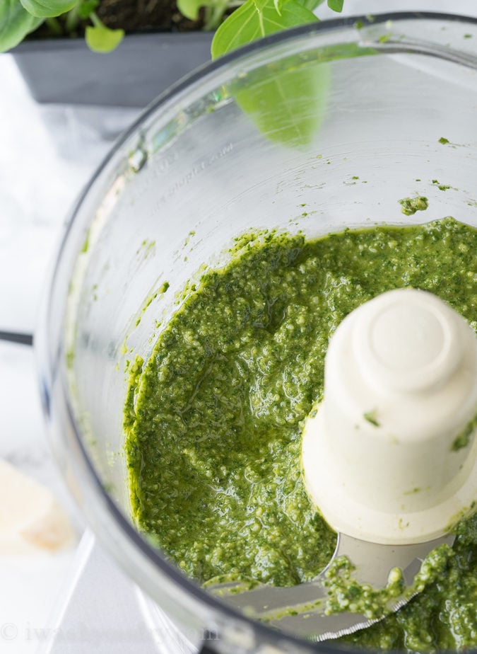 My whole family loved this super easy Fresh Basil Pesto recipe! 