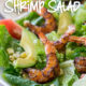SO EASY! Grilled Southwestern Shrimp Salad is one of my go-to summer salads! It's so fresh and tastes amazing!
