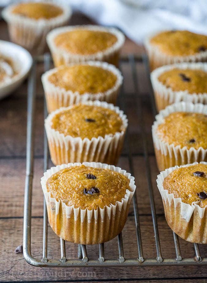 These Pumpkin Chip Cupcakes with Spiced Cream Cheese Frosting are insanely delicious and so easy! They start with a box cake mix and I can't wait to make them again!