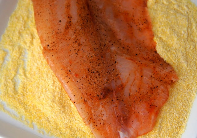 A close up of a seasoned raw Tilapia in a bread of cornmeal
