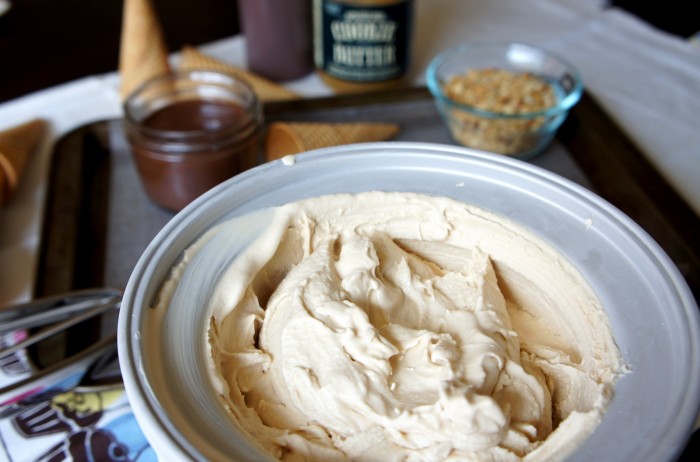 A close up of a bowl of homemade Cookie Butter Ice Cream