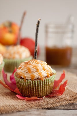 A close up of a Salted Caramel Apple Cupcake on a red leaf on a table