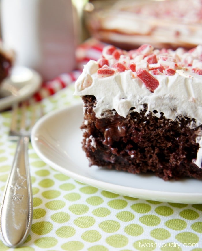 A close up of a piece of chocolate cake on a plate with white fluffy frosting and peppermint pieces on top