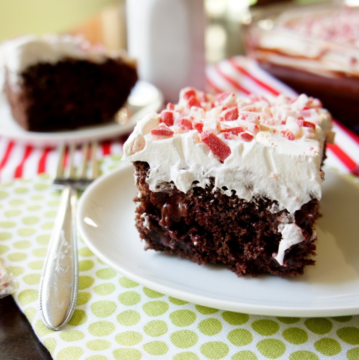 A close up of a piece of chocolate cake on a plate, with white frosting and crushed peppermint on top