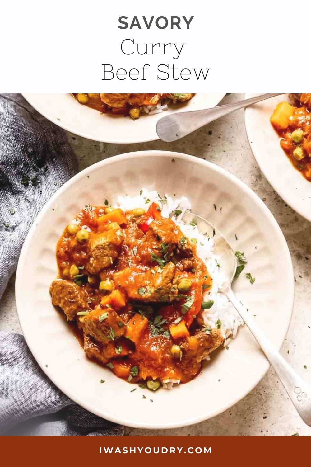 Curry Beef Stew - I Wash You Dry