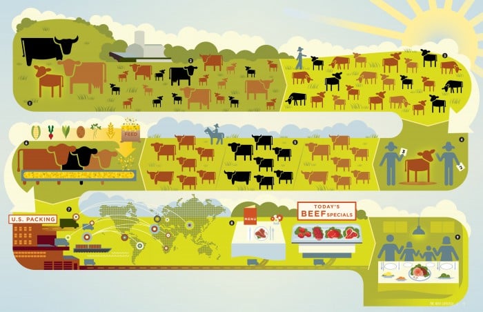 A graphic that demonstrates how a cow gets from the ranch to my plate