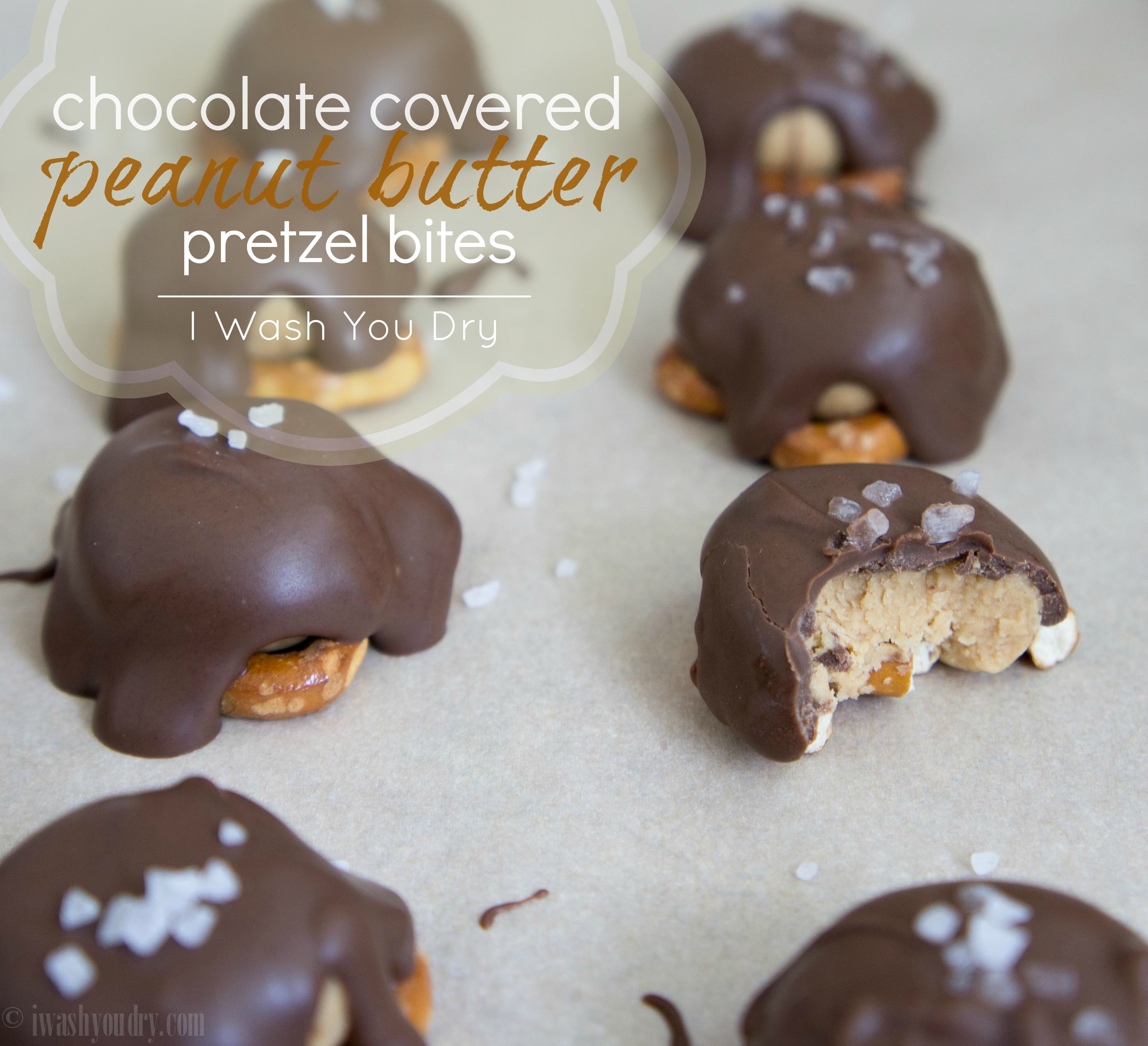 Chocolate Covered Peanut Butter Pretzel Bites I Wash You Dry