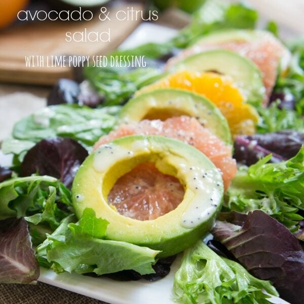 Avocado Citrus Salad with Lime Poppy Seed Dressing I Wash You Dry