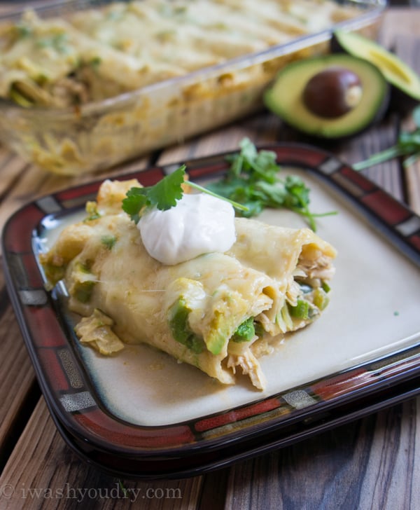 Creamy White Chicken and Avocado Enchiladas