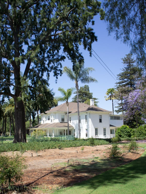 A White House surrounded by tall trees