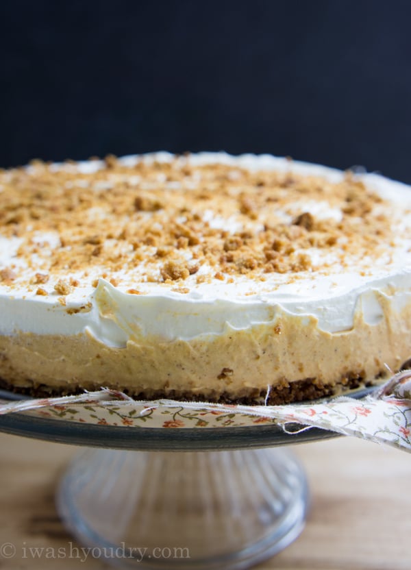 No Bake Pumpkin Cheesecake with a gingersnap crust!