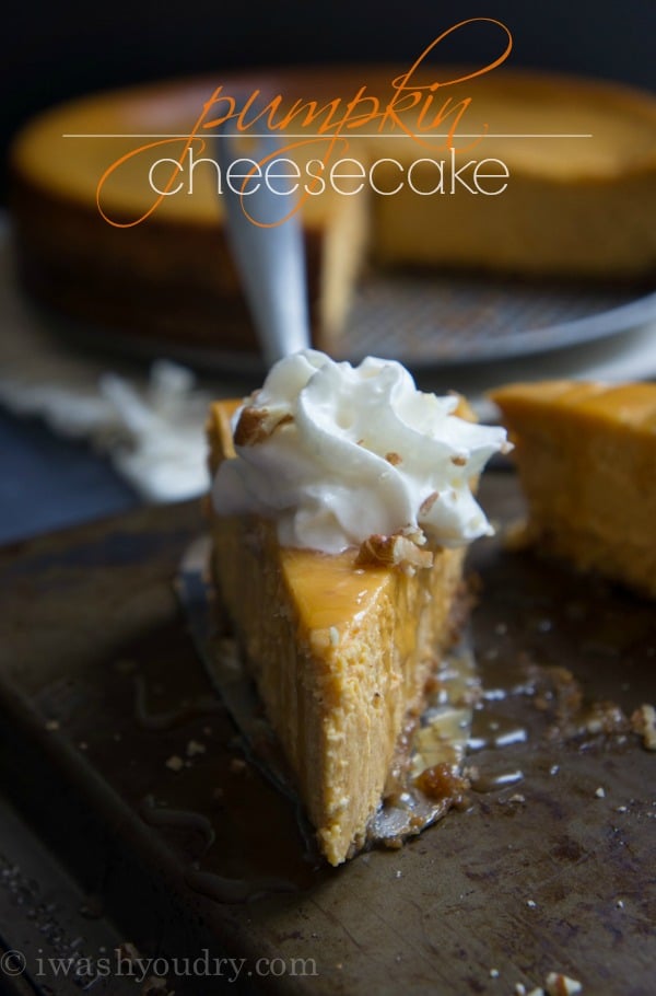 Pumpkin Cheesecake with a Gingersnap Pecan crust and drizzled with salted caramel sauce!