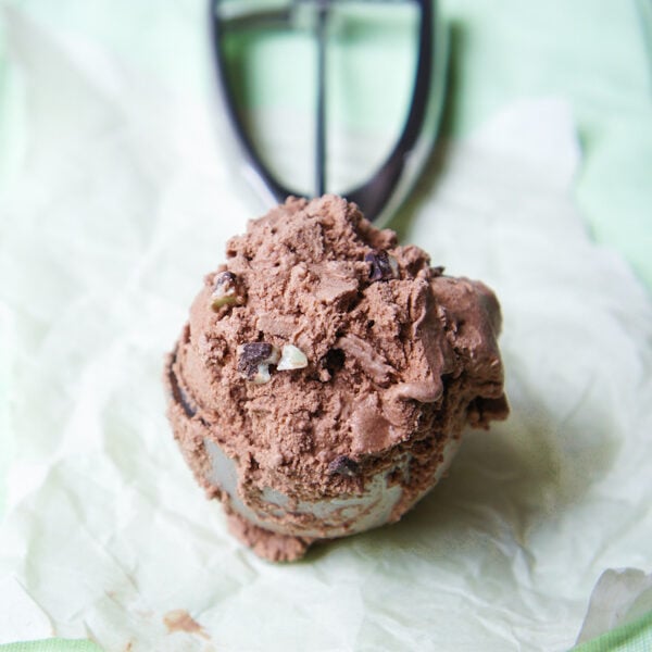 Chocolate Mint Ice Cream {eggless} I Wash You Dry