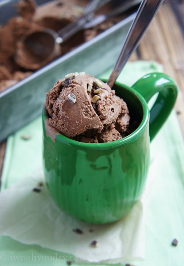 Chocolate Mint Ice Cream {eggless}