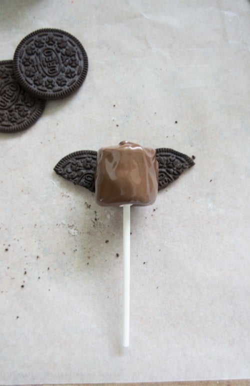 A close up of a chocolate dipped marshmallow pop with broken Oreo pieces as wings