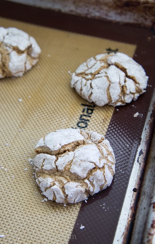 Spice Cool Whip Cookies