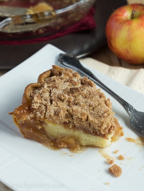 Apple Pie Streusel Cake - I Wash You Dry