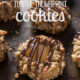 Gingerbread Turtle Thumbprint Cookies