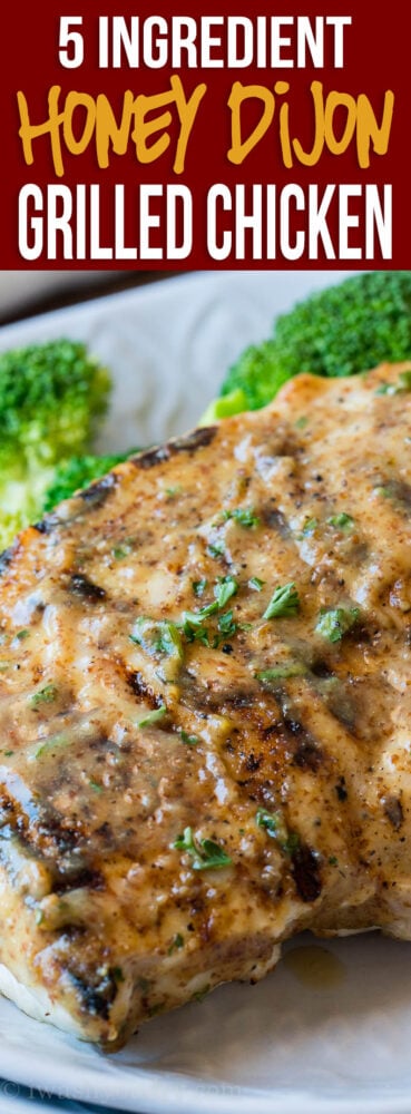 WOW! This Honey Dijon Grilled Chicken recipe is just 5 ingredients and ready in 15 minutes! My family LOVED it!!