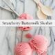 Strawberry Buttermilk Sherbet