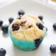 Quick Blueberry Muffins
