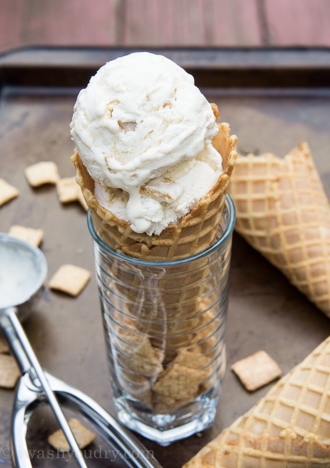 Snickerdoodle Cheesecake Ice Cream