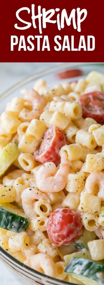 Shrimp Pasta Salad is filled with crisp cucumbers, juicy tomatoes and bite size shrimp, all tossed in a creamy and tangy sauce!