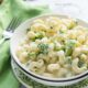 This Creamy Alfredo Broccoli Mac and Cheese is a quick 20 minute dinner recipe that's perfect for an easy weeknight meal! The whole family loves this one!