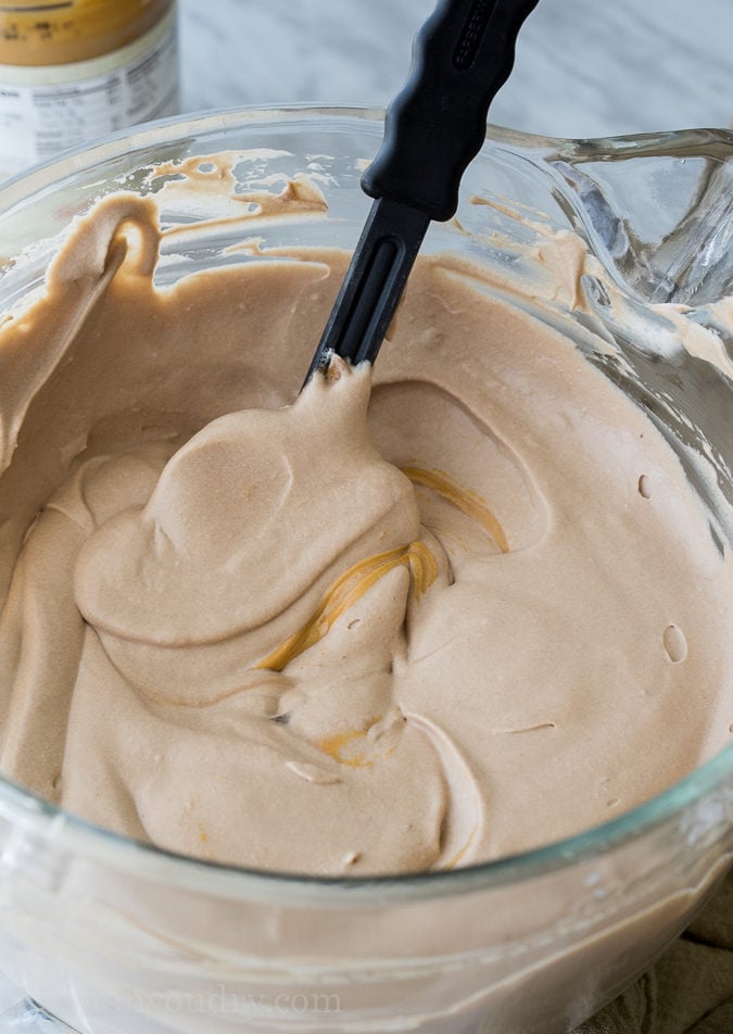 No Churn Chocolate Peanut Butter Ice Cream