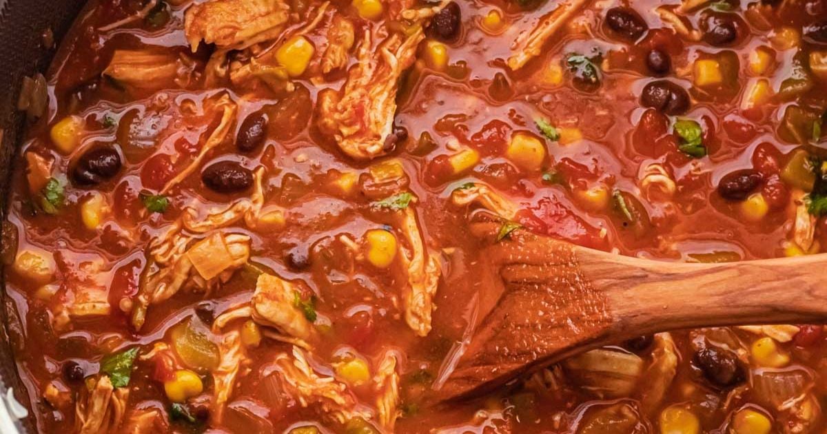 Easy Chicken Tortilla Soup - I Wash You Dry