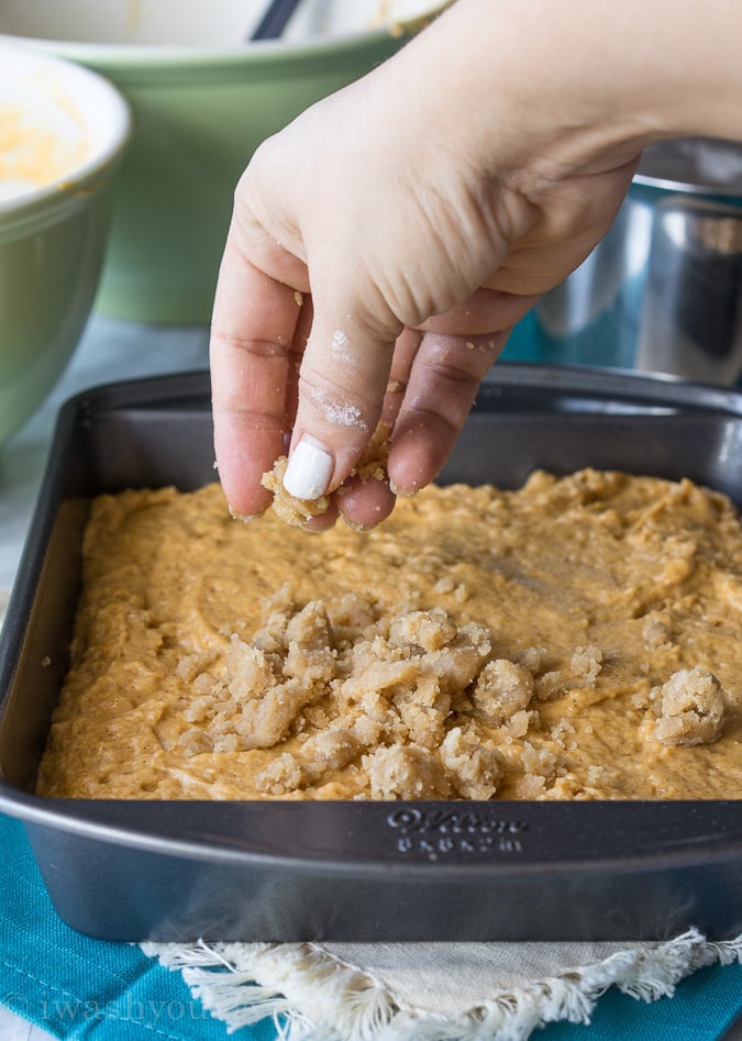 Pumpkin Crumb Cake - I Wash You Dry