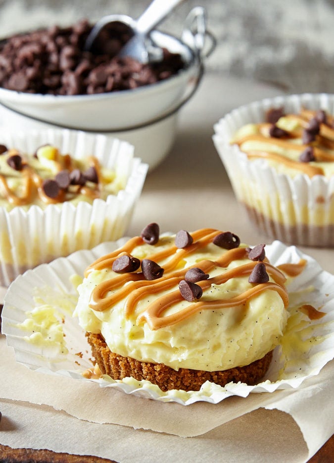 These Mini No Bake Chocolate Peanut Butter Cheesecakes have a Reese's Puffs cereal crust with a creamy vanilla bean cheesecake and a swirl of peanut butter on top. So easy and totally delicious!