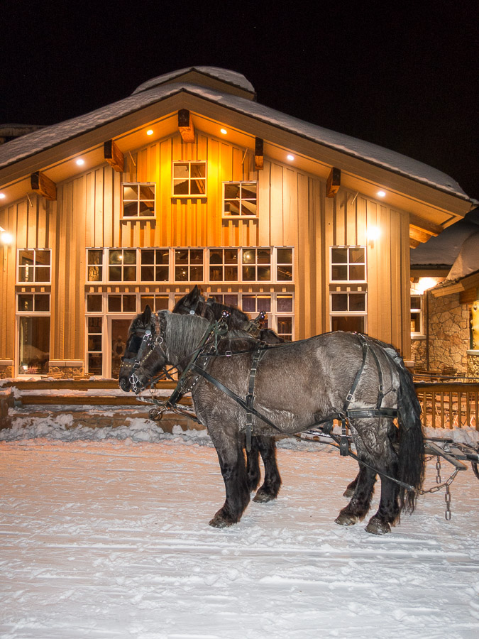 Horse drawn carriage rides offered at Fireside Dining at Deer Valley Resort in Park City Utah!