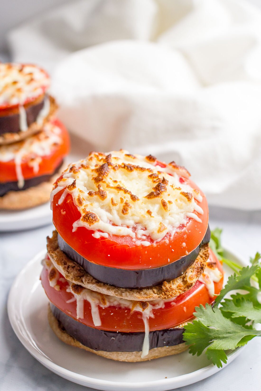 Broiler Eggplant Sandwich with Tomato and Mozzarella - I Wash You Dry