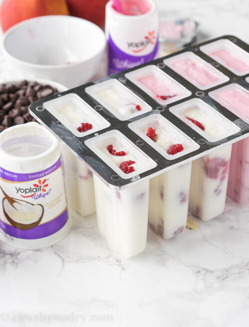 Raspberry Coconut Fro-Yo Popsicles - I Wash You Dry