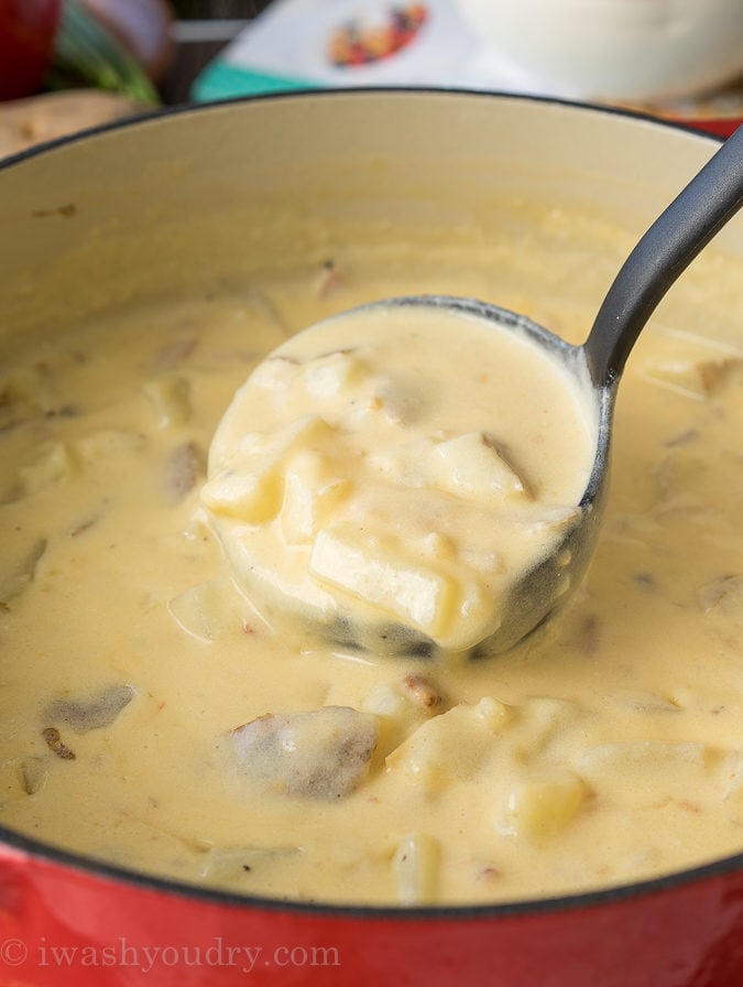This Loaded Baked Potato Soup is a super quick and creamy version. My whole family devoured this delicious recipe!