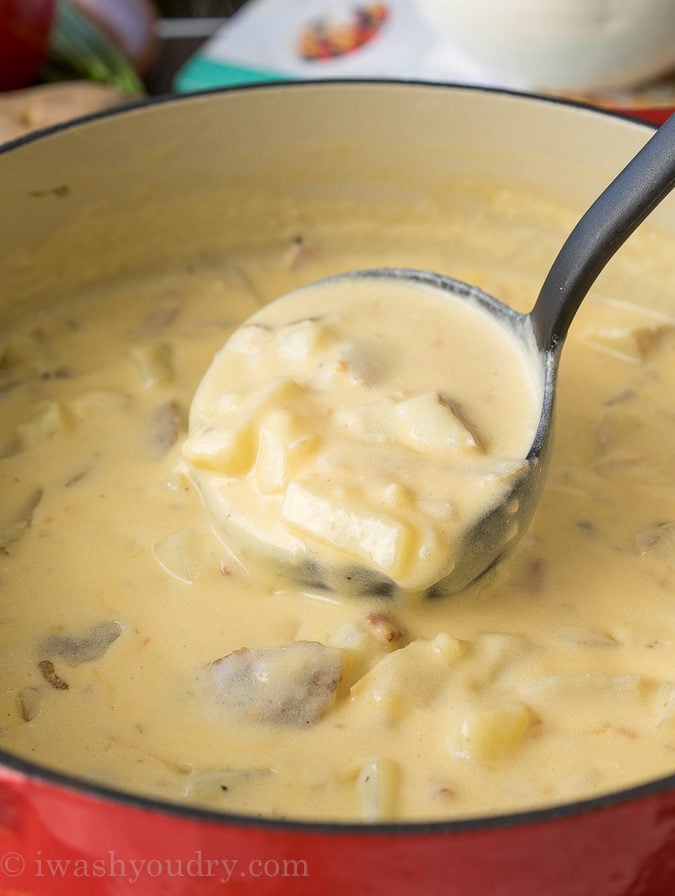 Loaded Baked Potato Soup - I Wash You Dry