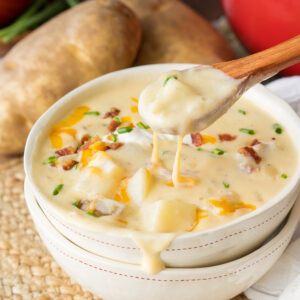 loaded-baked-potato-dip-i-wash-you-dry