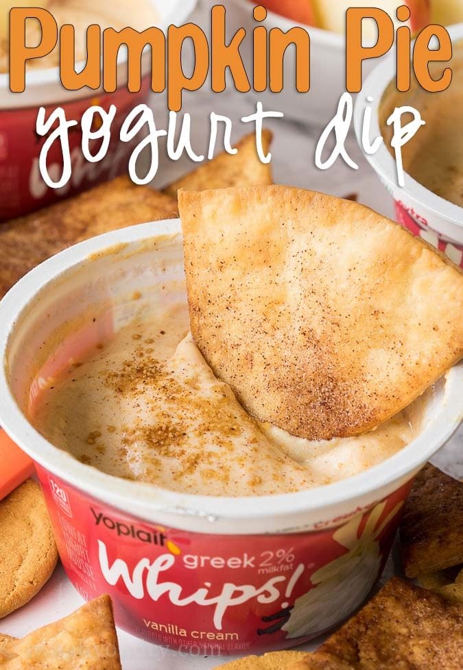 This Pumpkin Pie Yogurt Dip is just 3 simple ingredients and tastes so great with pie crust chips or crisp apples! 