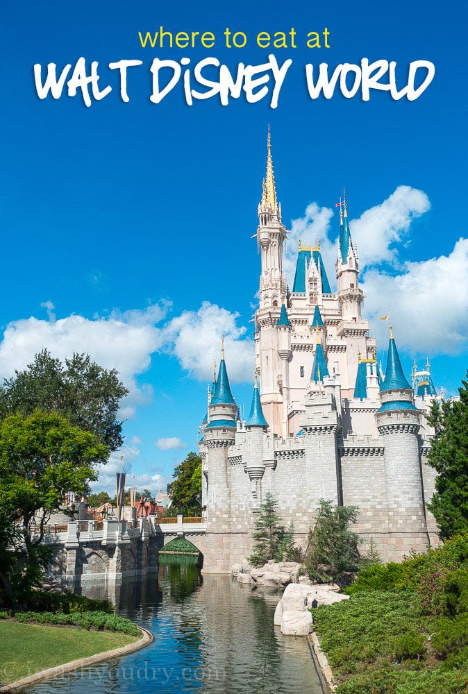 There are a bunch of great tips on where to find some really good eats in this guide of What to Eat at Walt Disney World!