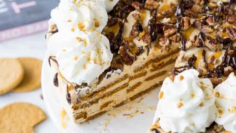 Gingersnap-Turtle-Ice-Box-Cake