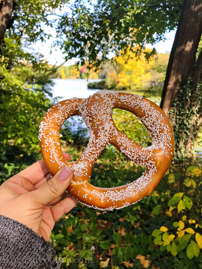 Self guided bike tour through Central Park is a great way to see all the sites of this large park!