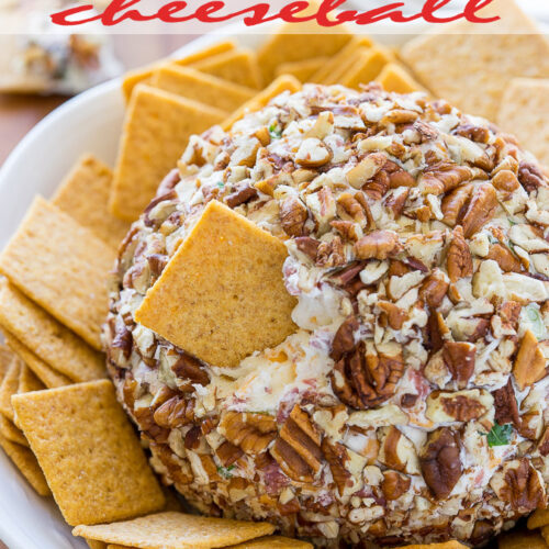 Corned Beef And Cheddar Cheeseball - I Wash You Dry