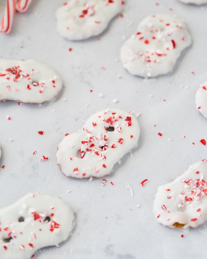 Peppermint Pretzel Crisps I Wash You Dry