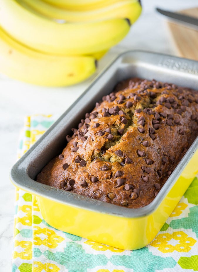 Ultra moist Chocolate Chip banana bread in a loaf pan. Topped with extra chocolate chips.